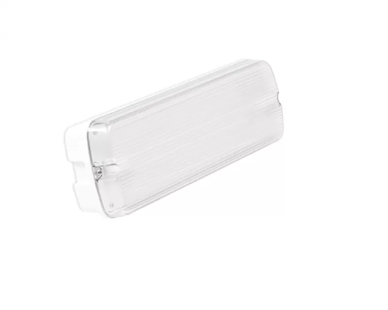 Emergency Luminaire 2-49